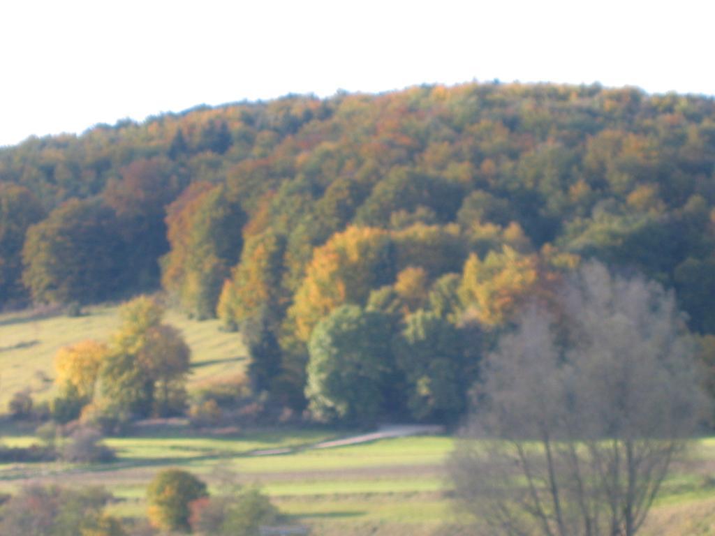 Gasthof Zum Lamm Gomadingen 외부 사진